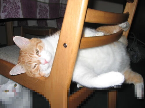 传奇少年:那些从青训营走出的大明星未来可期,传奇少年失踪之谜