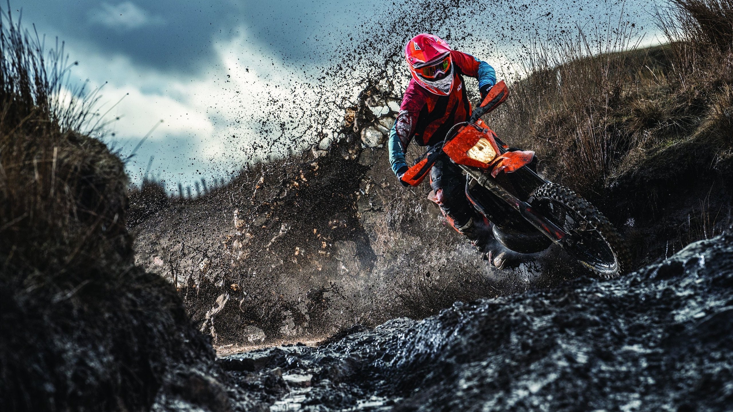 贾瓦迪800米自由泳力拼佳绩，贾瓦迪获男子800米自由泳金牌